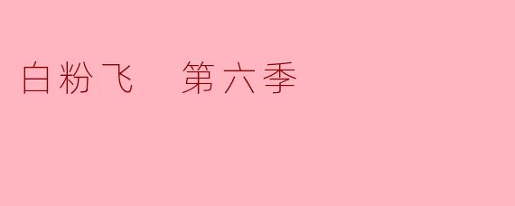 白粉飞 第六季